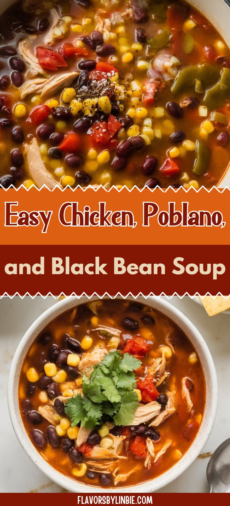 Easy Chicken, Poblano, and Black Bean Soup