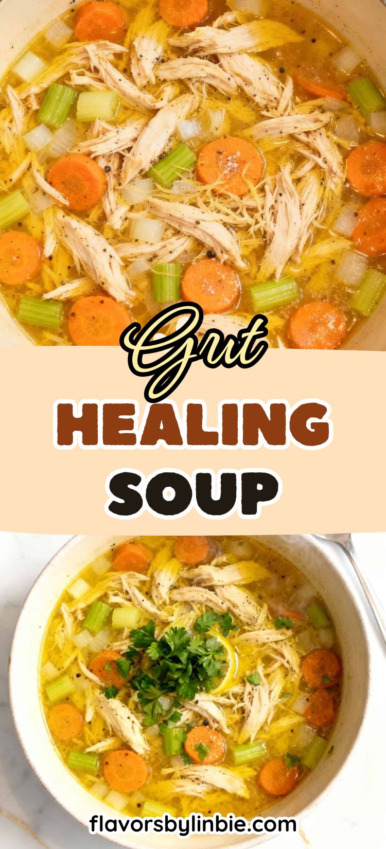 Gut Healing Soup