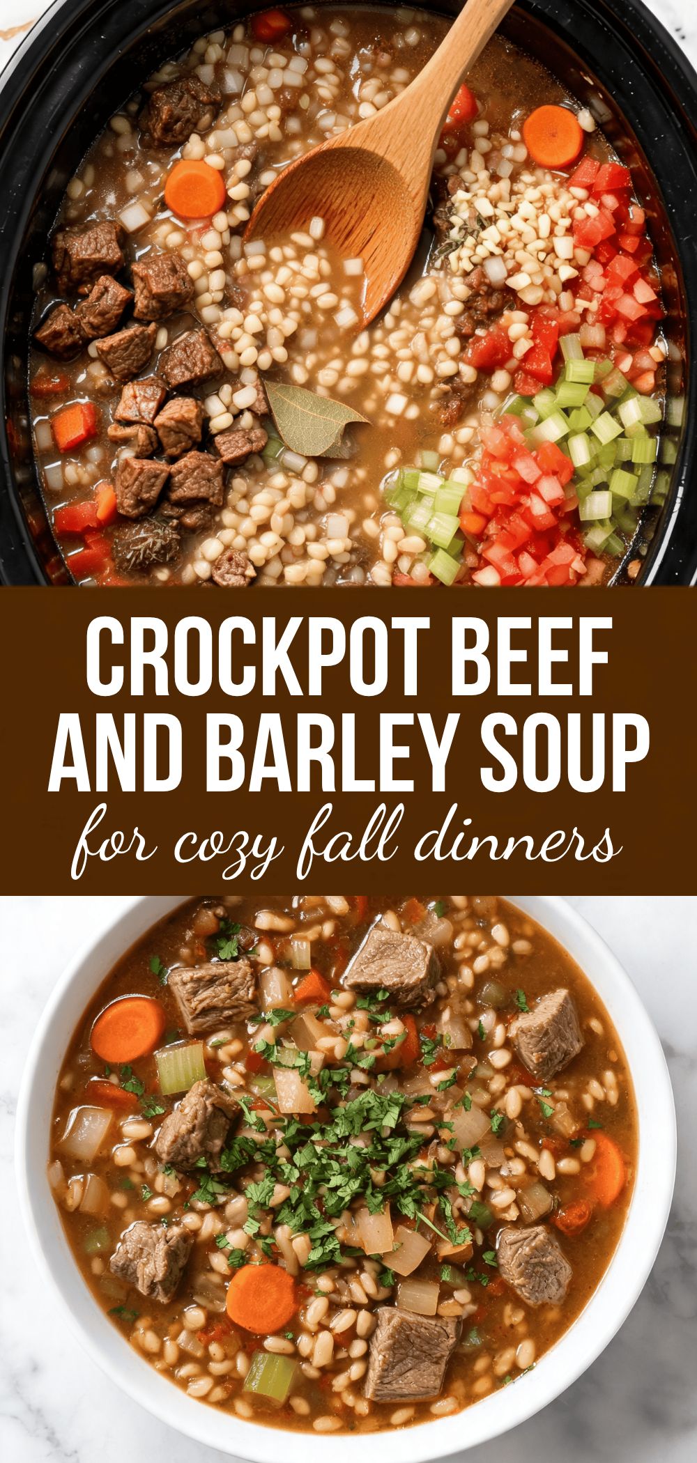Healthy Crockpot Beef and Barley Soup