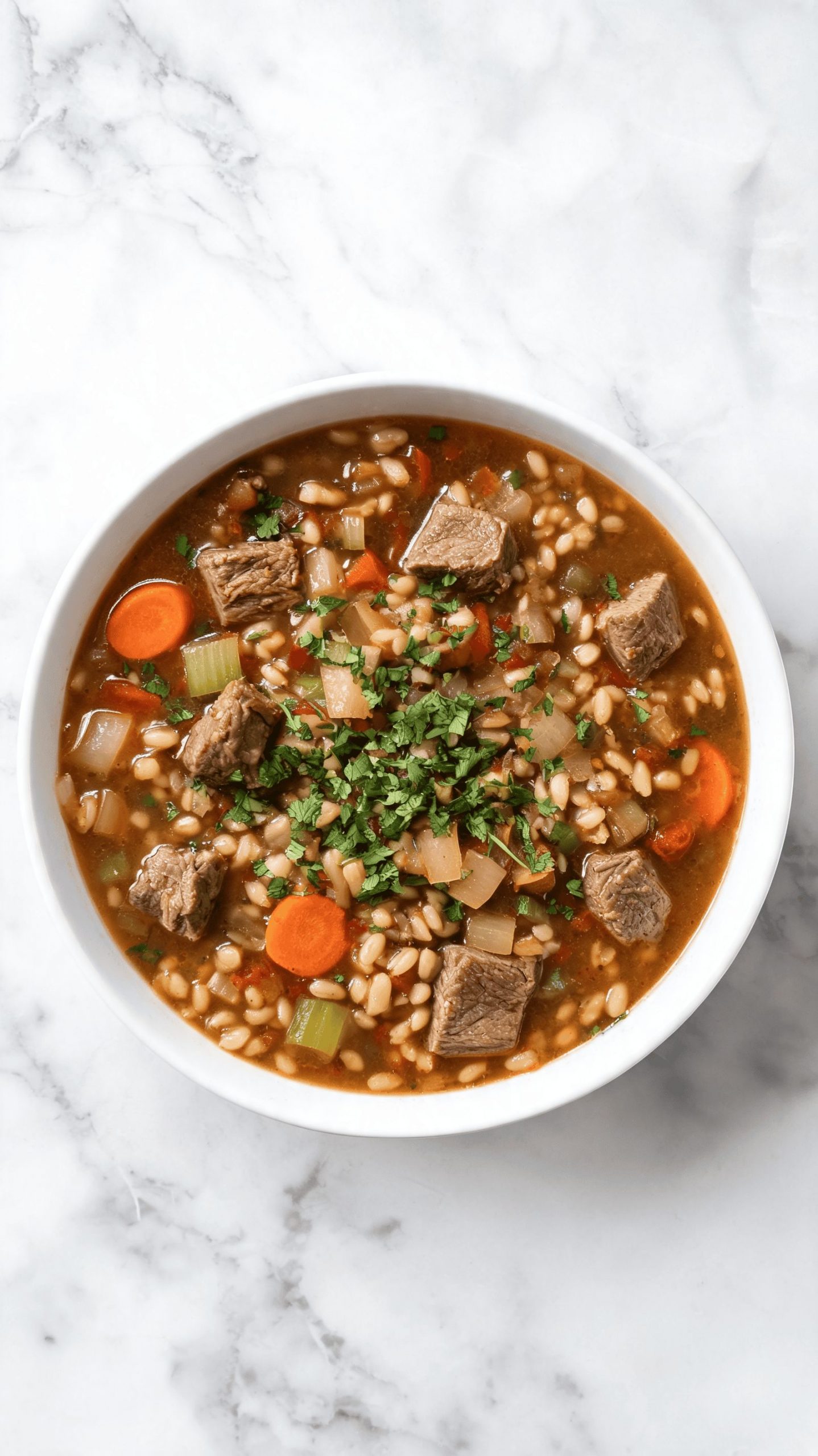 Healthy Crockpot Beef and Barley Soup