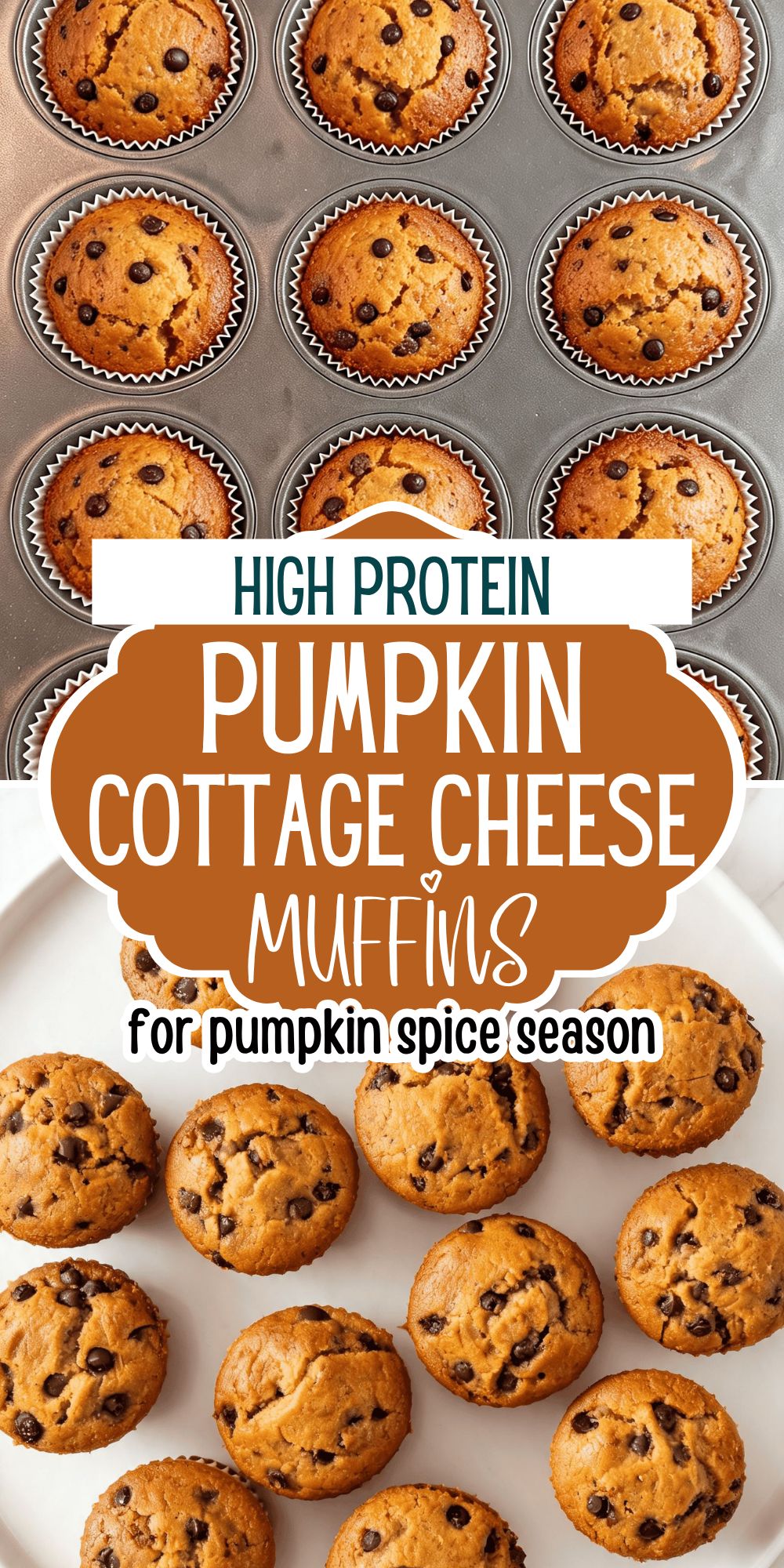 High Protein Pumpkin Cottage Cheese Muffins